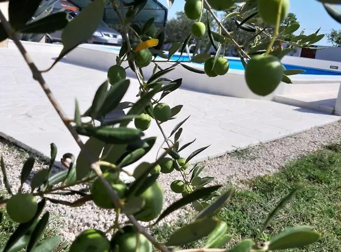 Prázdninový dům Pan *