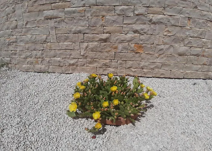 Pan Prázdninový dům *