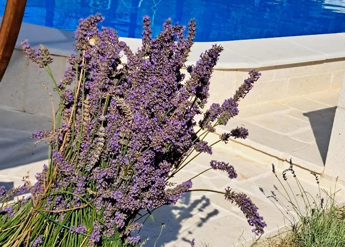 Prázdninový dům Pan